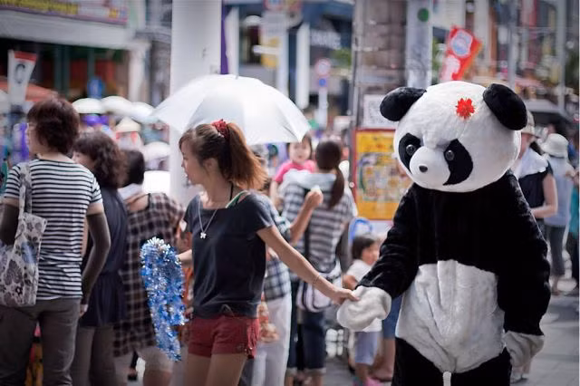 Dắt gấu đi dạo.