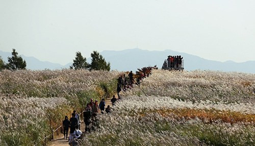 Sở dĩ như vậy là vì công trình kiến trúc sắt thép này mang hình một chiếc bát tròn, có đường kính đáy là 3,7m và đường kính phần đỉnh là 13,5m. Miệng bát hướng thẳng lên trời và bên trong có 3 tầng được sắp đặt sẵn ghế băng để phục vụ du khách.
