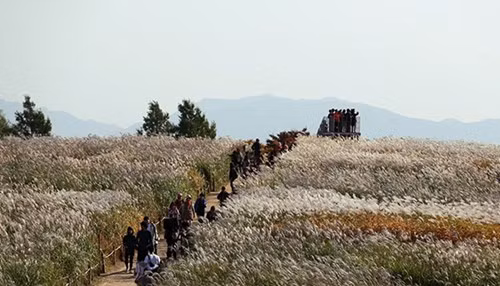 Sở dĩ như vậy là vì công trình kiến trúc sắt thép này mang hình một chiếc bát tròn, có đường kính đáy là 3,7m và đường kính phần đỉnh là 13,5m. Miệng bát hướng thẳng lên trời và bên trong có 3 tầng được sắp đặt sẵn ghế băng để phục vụ du khách.