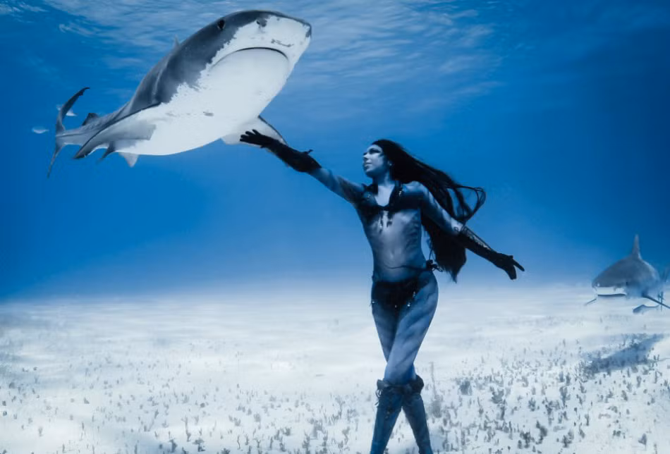 Cá mập hổ là một trong những loài động vật biển nguy hiểm và hung dữ nhất hành tinh, vậy mà Hannah lại có thể nhảy múa vui vẻ, thậm chí là chạm vào đuôi, vây hay đầu của chúng. Hannah chia sẻ, cá mập hổ dường như thích được chạm vào mũi hơn cả.