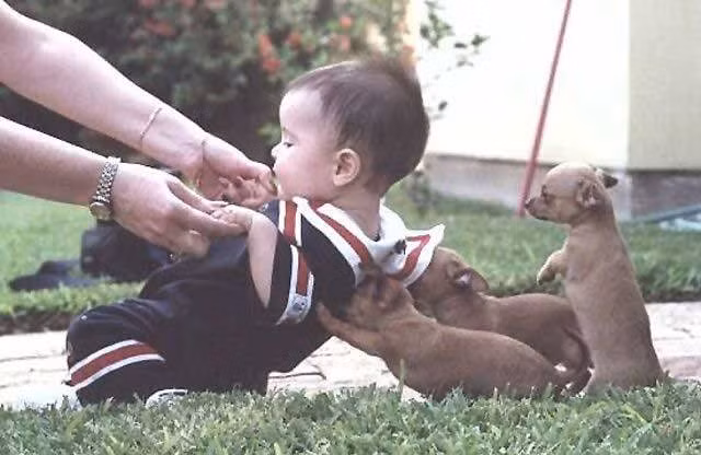 Cậu chủ ngã, chúng em phải đỡ cậu chủ.