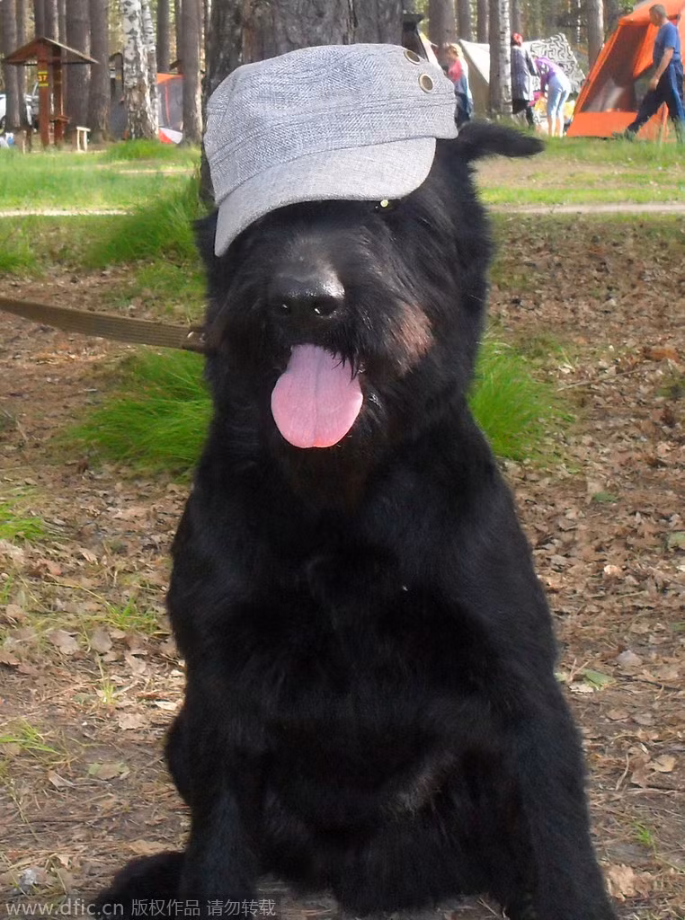 ... hay mùa hè oi bức.