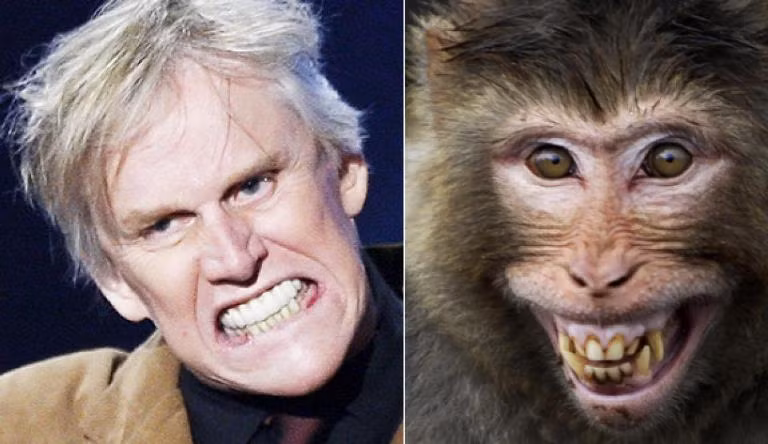 Gary Busey trông giống một chú "khỉ điên".