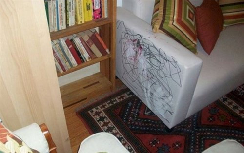 Em trang trí ghế giúp bố.