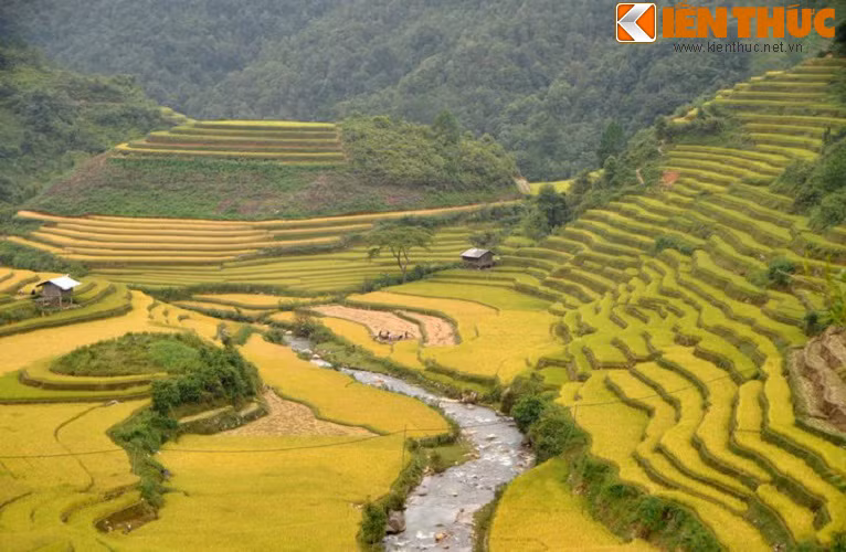 Những thửa ruộng bậc thang xếp tầng tầng, lớp lớp đổ màu sắc trải rộng khắp các quả đồi, bên dưới là tiếng suối chảy róc rách khiến cho khung cảnh càng trở nên ấn tượng.