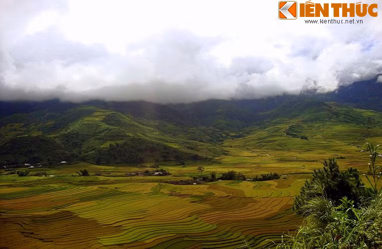 Lại có nơi thửa ruộng bậc thang tạo nên những đường vân mềm mại, quyến rũ, những áng mây dường như muốn xà xuống để thưởng thức trọn vẹn tác phẩm nghệ thuật làm say đắm lòng người này.