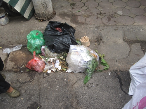 “Cánh cụt xin rác” là một dự án hướng tới việc tuyên truyền, vận động người dân phố Cổ nâng cao ý thức trước vấn nạn xả rác bừa bãi hiện nay. Dự án có sự tham gia của hơn 100 bạn trẻ đến từ khắp nơi trên địa bàn thành phố Hà Nội với cùng một niềm tin và tinh thần: “Bảo vệ môi trường là bảo vệ tương lai của chính bản thân mình”.