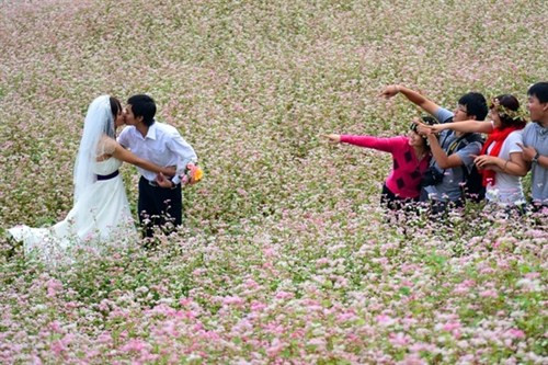 Vẻ đẹp mê hồn, hùng vĩ của núi non Hà Giang thu hút rất nhiều cặp đôi tìm về nơi địa đầu tổ quốc này chụp ảnh cưới.