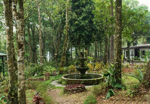 Selva Negra – Nicaragua, trung Mỹ. Đây là lựa chọn tốt cho những du khách thích tìm kiếm một sự trải nghiệm đích thực về du lịch sinh thái. Tại đây du khách có thể chọn ở trong các ngôi nhà gỗ tư nhân hay cuộc sống nông trại, quang cảnh núi rừng nơi đây còn khá hoang sơ, bạn có thể hòa mình vào cuộc sống thiên nhiên hoang dã.