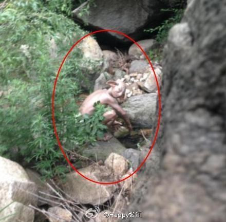 Su that ve quai vat Gollum xuat hien tai Bac Kinh