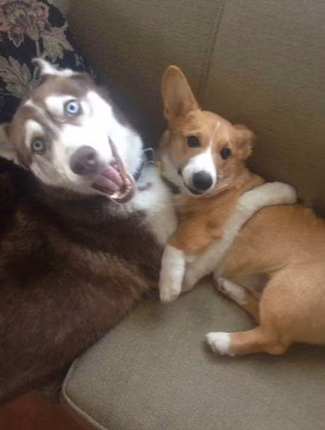 Bị bắt quả tang.