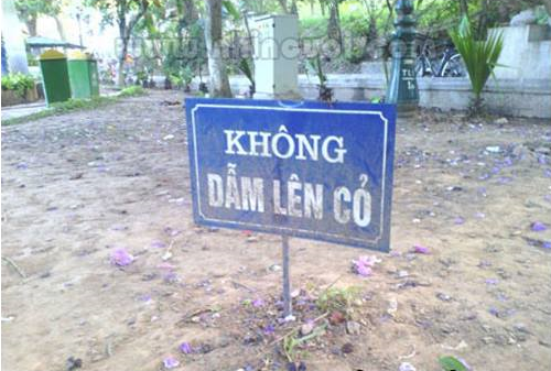 Cho xin ít cỏ nào.