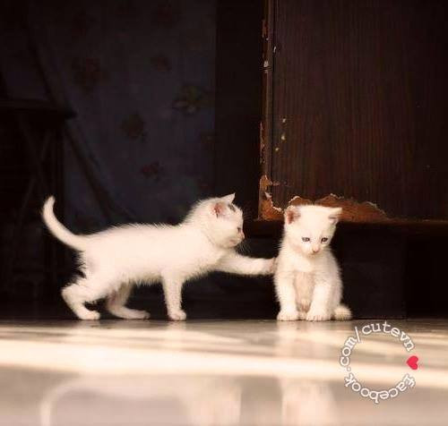 Đừng giận anh nữa em!