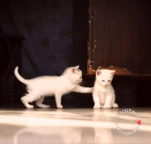 Đừng giận anh nữa em!