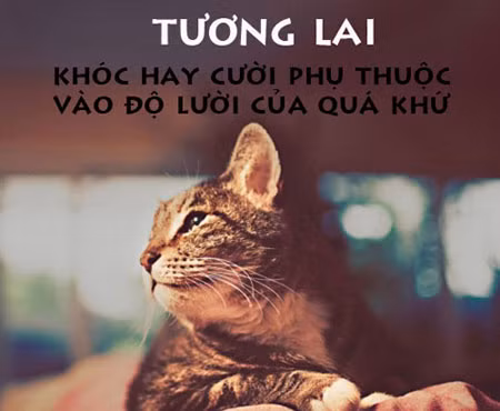 Độ lười "làm hại" tương lai.