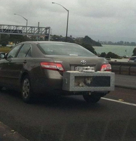 Ngôi nhà di động của cún.