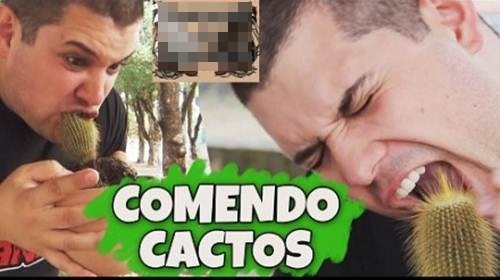 Chính vì sự kỳ quái và đau đớn mà người bị thách thức phải chịu đựng nên không nhiều người dám chấp nhận thử thách này, mặc dù nó ra đời gần như cùng với trào lưu thử thách với xô đá vào cuối năm ngoái.