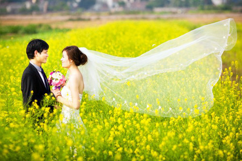 Các cặp uyên ương đi chụp ảnh cưới cũng chọn loài hoa này để làm minh chứng lưu lại tình yêu đẹp của mình.