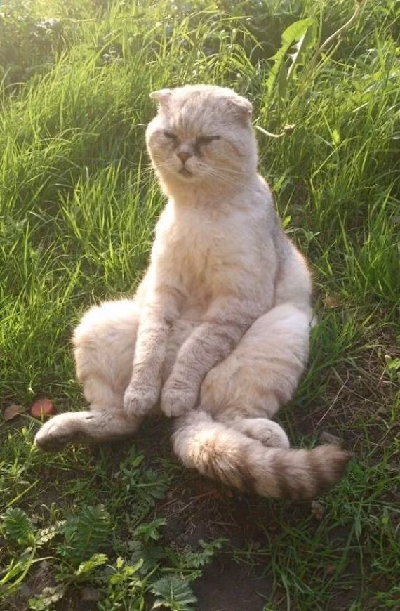 Mình đã hẹn cô ấy ở đây, vậy mà mãi chưa tới vậy?