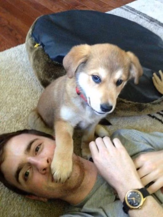 Ông chủ giữ im lặng nào!