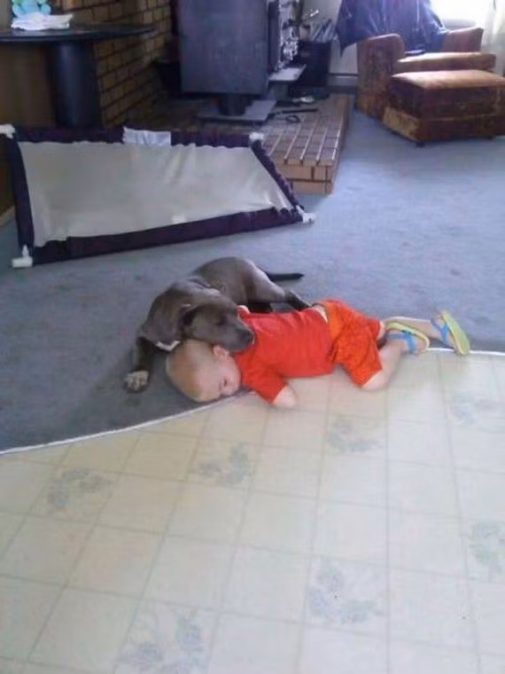 Chiếc gối êm ái của em.