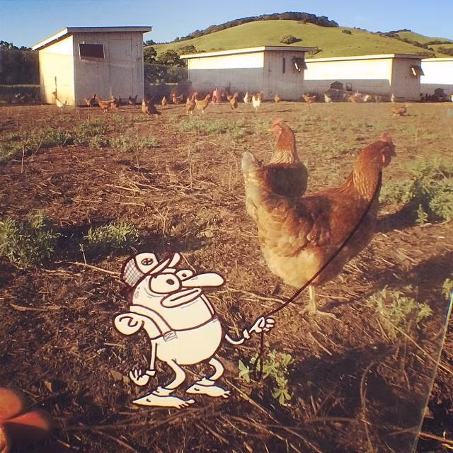 Này, đi chầm chậm thôi nào.