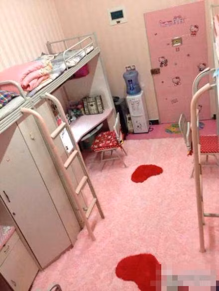 Sau khi trang trí xong căn phòng ký túc xá hồng toàn tập, họ đã chụp ảnh lại và đăng tải lên mạng. Ngay lập tức, nó đã trở thành chủ đề nóng được bàn tán xôn xao bởi căn phòng Hello Kitty này gần giống với miêu tả của một cuốn tiểu thuyết ăn khách trong giới trẻ Trung Quốc.