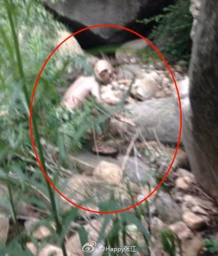 Đa số cư dân mạng đã tỏ ra rất sửng sốt và sợ hãi vì những hình ảnh trông rất chân thật, không có dấu hiệu bị chỉnh sửa hay dùng hiệu ứng can thiệp.