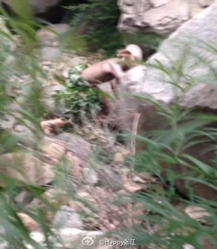 Được biết, quái vật Gollum này được phát hiện tại vùng thung lũng gần Vạn Lý Trường Thành, Trung Quốc.