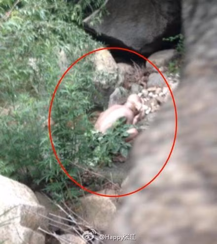 Tuy nhiên, trong khi dân mạng đang xôn xao bàn tán thì một nickname đã lên tiếng rằng: "Vào cuối tuần, tôi và bạn bè tới vùng núi đó để làm phim ngắn... Khi tôi đi tiểu tiện, một người bất ngờ xuất hiện, chụp vài tấm ảnh về tôi rồi biến mất”. Lời giải đáp này đã khiến sự việc lắng xuống ít nhiều, nhưng vẫn có một số người tỏ ra hoài nghi và yêu cầu người chia sẻ cung cấp những bức ảnh để chứng minh. Bên cạnh đó, còn có người chỉ ra là quái vật Gollum này trông giống như đang uống nước chứ không phải đi tiểu tiện.