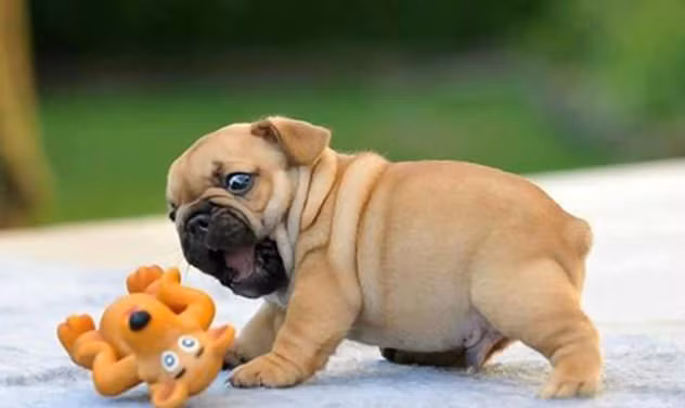 Trời! Làm anh hết hồn...