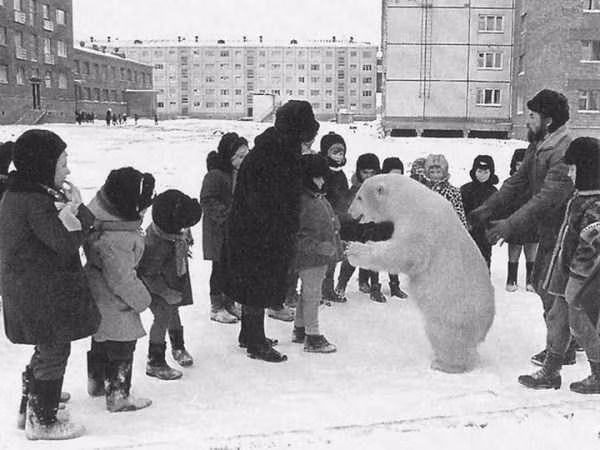 Chú gấu thân thiện.