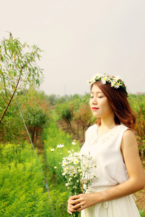 Cúc họa mi. Vào những ngày đầu đông, trên mỗi con phố Hà Nội, đâu đâu ta cũng có thể bắt gặp những gánh hàng hoa chở đầy những bó cúc họa mi.