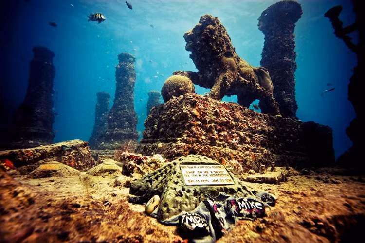 Nghĩa trang Neptune Memorial Reef (Florida, Mỹ) là khu lăng mộ dưới nước đầu tiên trên thế giới lưu trữ tro cốt sau khi chết của người được hỏa táng. Thay vì việc rải tro xuống biển, người ta có thể giữ tro cốt của người thân và trộn với xi măng rồi sau đó gắn vào một chiếc khuôn và nhân viên sẽ chọn địa điểm và đóng chặt vào các rạn san hô.