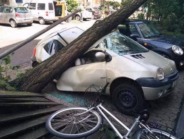 Ôi cái xe của tôi!