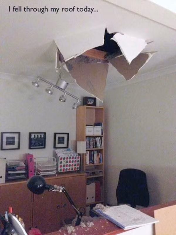 Rơi xuống từ trần nhà.