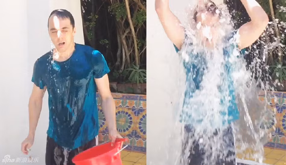 Trào lưu này được phát động nhằm mục đích từ thiện. ALS là căn bệnh khiến cho các tế bào thần kinh vận động của con người bị tê liệt, và khi đã mắc bệnh, người bệnh sẽ phải gắn đời mình với chiếc xe lăn.