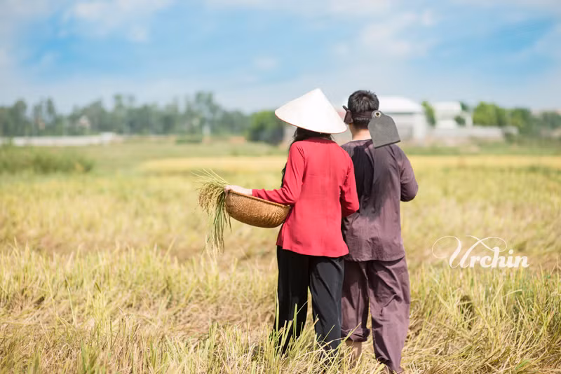 Sau một ngày chụp ảnh cùng với đồng lúa và những lao động hàng ngày mùa của người nông dân, đôi uyên ương Tuấn - Quỳnh chia sẻ cảm giác được làm nông dân "chính hiệu" thật vui vẻ và ý nghĩa, dù có đôi chút mệt với việc cắt lúa, bê mạ và đập lúa.