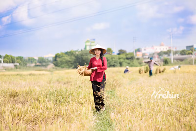 Khi quyết định tiến đến hôn nhân, đôi uyên ương Tuấn - Quỳnh đã phải trăn trở rất nhiều làm thế nào để cuốn album của mình không giống những cuốn album của các cặp đôi khác.
