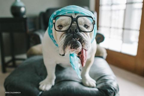 Sau khi sinh bé Harper, Rebecca nhận được tin từ bác sĩ cho biết rằng bà không thể thụ thai thêm lần nào nữa.