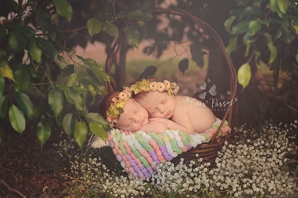 Cặp thiên thần nhí giấu mình say ngủ.