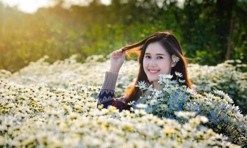 Hoa cúc họa mi mang một vẻ đẹp dịu dàng, tinh khiết như vẻ đẹp của một cô gái 20 tươi trẻ và tràn đầy sức sống.