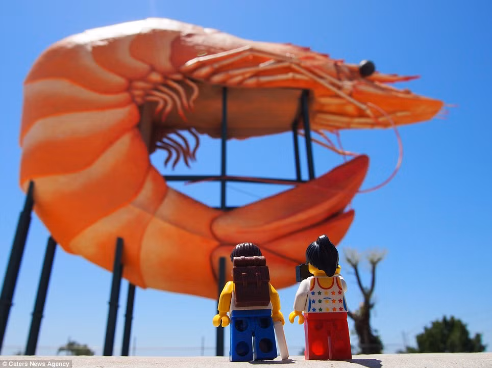 Cặp vợ chồng chụp ảnh với con tôm lớn tại Ballina, New South Wales, Australia.