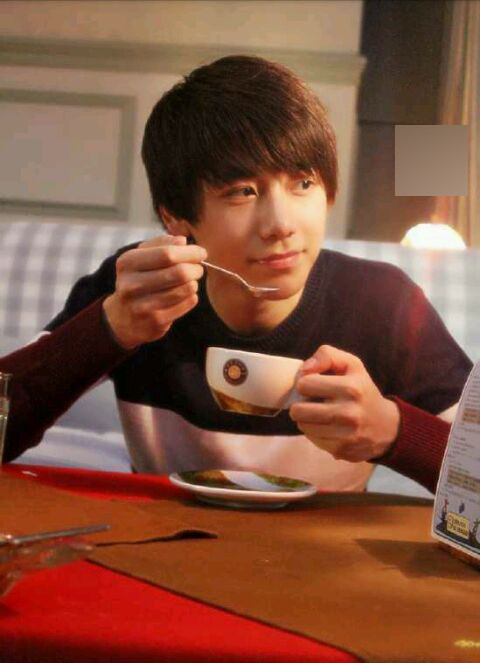 Tuy nhiên, bên cạnh đó cũng có những người cho rằng hot boy 9x này hơi ẻo lả và không phong độ: "Chẳng hiểu các bạn phát cuồng vì các gì nữa, trông trắng trẻo ẻo lả như thế này có lẽ anh ý đã thuộc về chàng trai nào đó cũng nên".