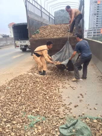 Quần áo lấm bẩn, thấm mồ hôi nhưng các chiến sĩ vẫn không ngừng giúp đỡ hai tài xế vận chuyển số sắn khô bị rơi vãi lên xe.