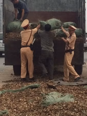 Thỉnh thoảng, khi các làn xe đã tương đối ổn định, đồng chí đang điều khiển giao thông cũng chạy vào giúp đỡ bốc những bao sắn bị rơi lên xe.