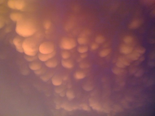 Những đám mây vẩy rồng cũng khiến không ít người ngạc nhiên.