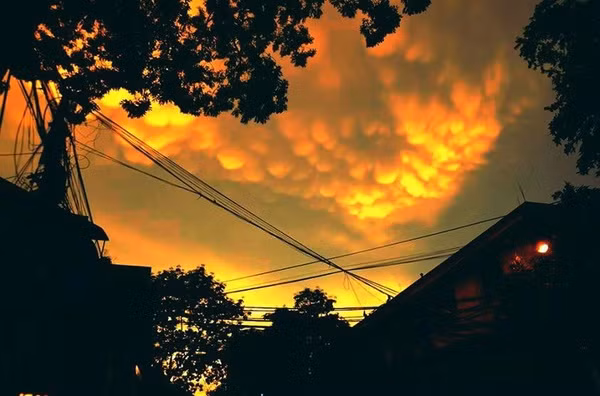 Mây vảy rồng tại Hà Nội