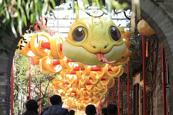 Chú rắn treo lơ lửng trên khu phố cổ Môn Đông (Nam Kinh) với chiều dài khoảng 80 m cũng khiến du khách thích thú. Rắn màu vàng nổi bật, điểm nhấn nằm ở cặp mắt to tròn long lanh. Thiết kế thân mình uốn lượn xuyên qua những đồng tiền mang ý nghĩa tài lộc dồi dào. Ảnh: Weibo.