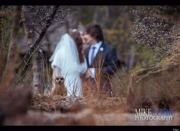 Ủa, chụp gì vậy ta? Hôm nay mình mới là nhân vật chính!